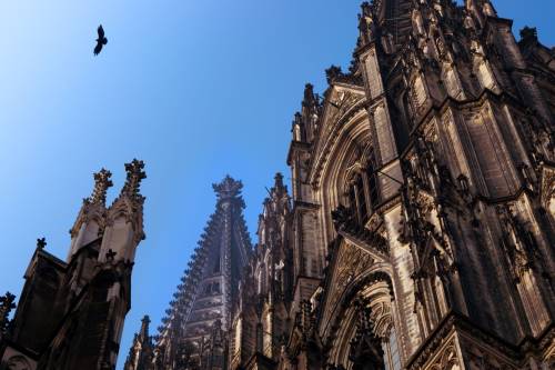 cologne