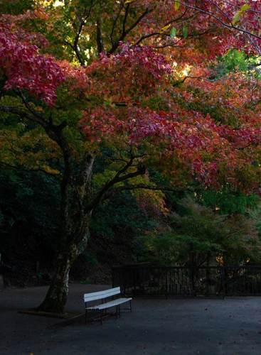 kyoto